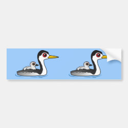 Clark's Grebe with chick Bumper Sticker