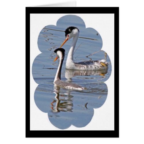 Clarks Grebes Card