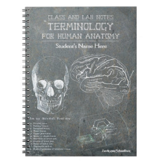 Class and Lab Notes - Terminology (Personalized) Notebook