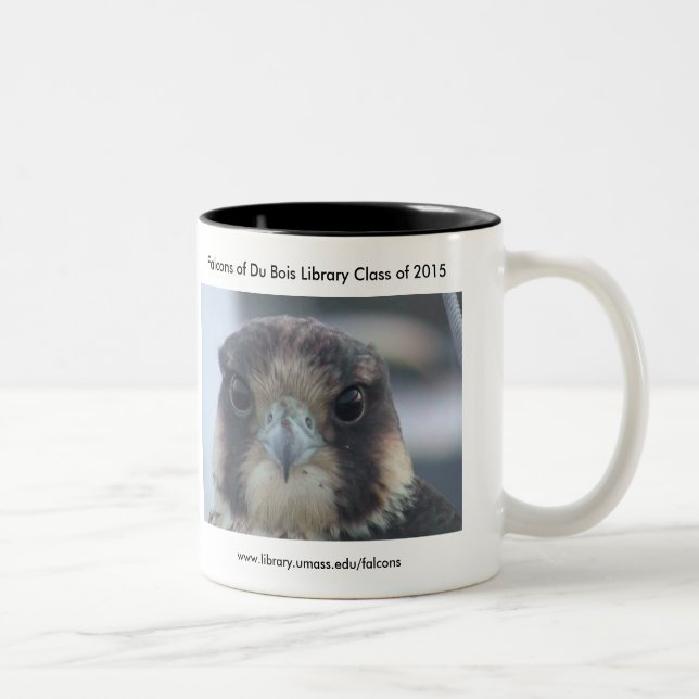 Class of 2015 Falcon mug (Right)