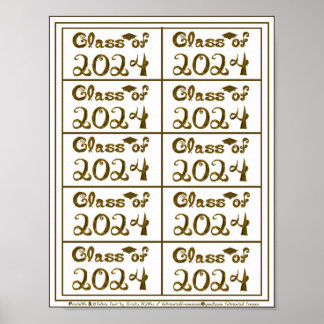 Class of 2024 Brown Glitter Shiny Fabric Font Tags Poster