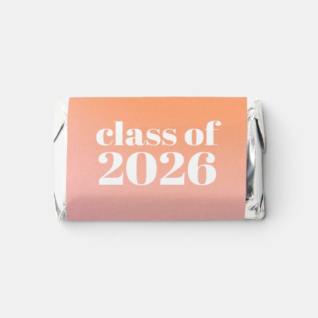 Class of 2024 Trendy Colorful Gradient Custom  Hershey's Miniatures (Front)