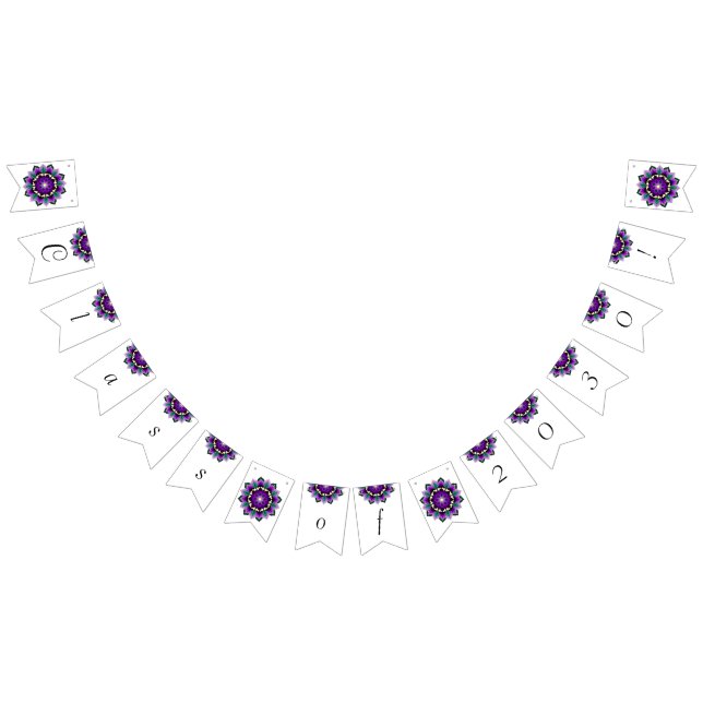 Class of 2030! Mandala in purple Bunting Flags (All)