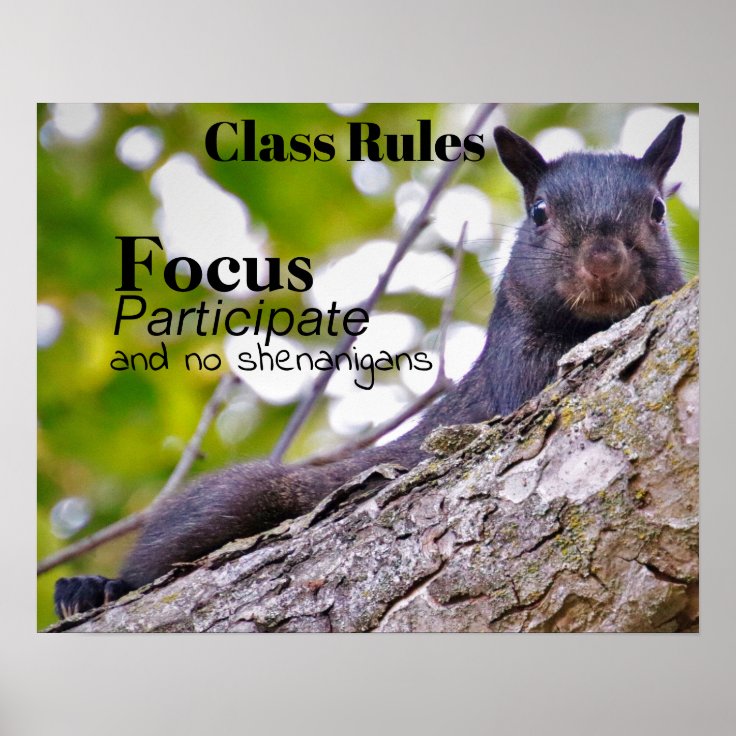 Class Rules Poster Zazzle