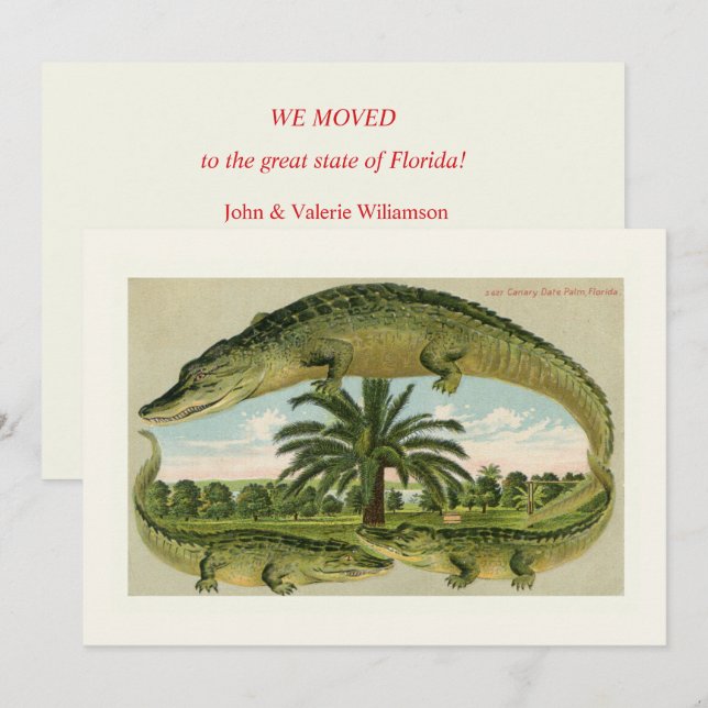 Classic Alligator Moving Announcement (Front/Back)