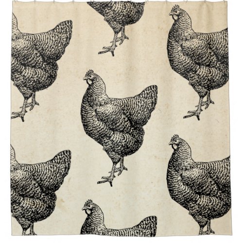 Classic Barred Plymouth Rock Chicken Hen Shower Curtain