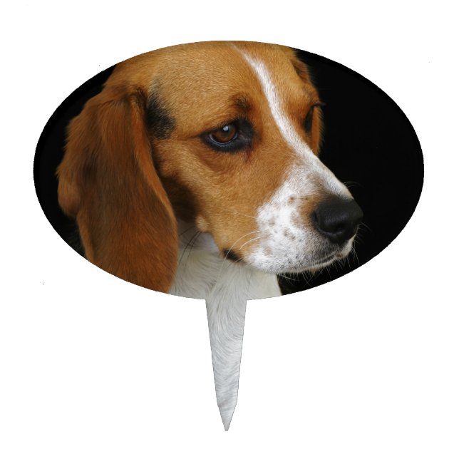 Classic Beagle Cake Topper (Front)