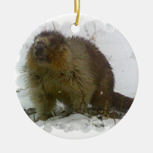 Classic Beaver Ornament (Front)