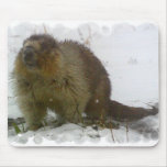 Classic Beavers Mouse Pad
