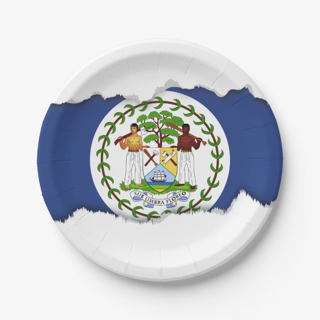 Classic Belize Flag Paper Plates (Front)