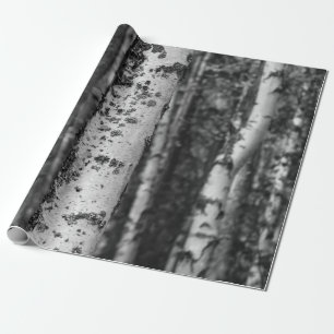 Classic Birch Forest Wrapping Paper