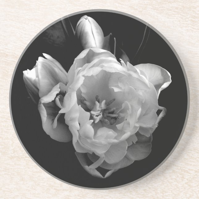 Classic Black and White Flower III Coaster (Front)