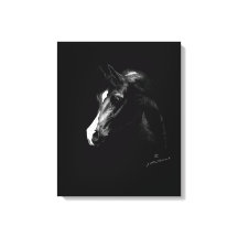 Classic black Arabian horse art (Smaller option)