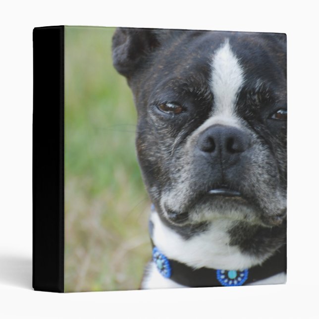 Classic Boston Terrier Dog Binder (Front/Spine)