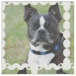 Classic Boston Terrier Dog Fabric