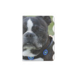 Classic Boston Terrier Dog Passport Holder