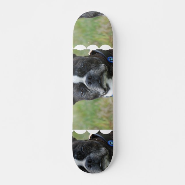 Classic Boston Terrier Dog Skateboard Deck (Front)