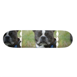 Classic Boston Terrier Dog Skateboard Deck