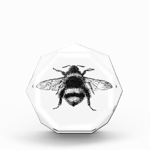 Classic Bumble Bee Award