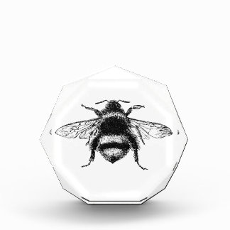 Classic Bumble Bee Award