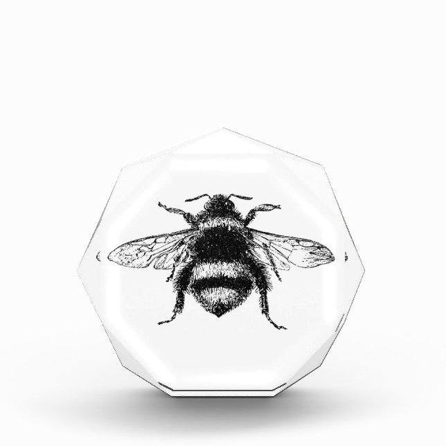 Classic Bumble Bee Award (Front)