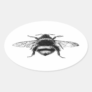 Classic Bumble Bee Oval Sticker