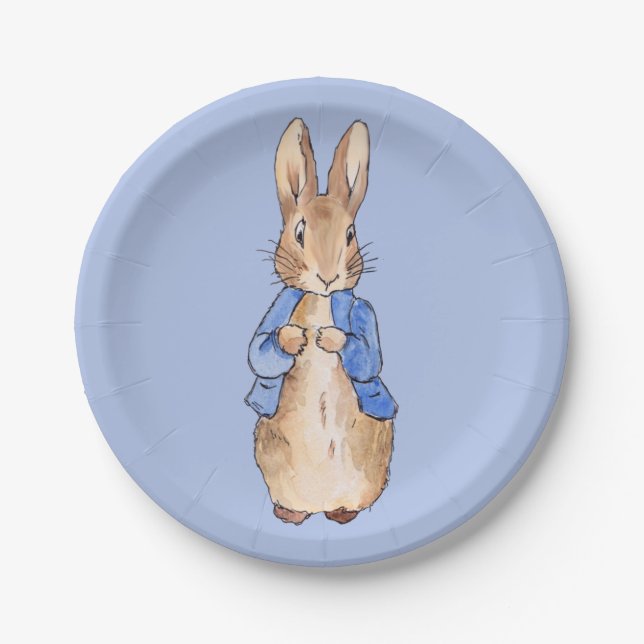 Classic bunny rabbit blue background paper plates (Front)