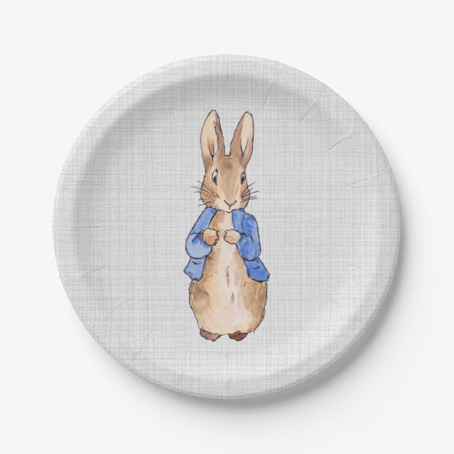 Classic Bunny Rabbit blue jacket Paper Plates (Front)