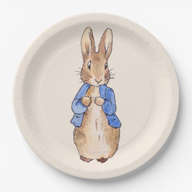 Classic bunny rabbit blue jacket paper plates (Front)