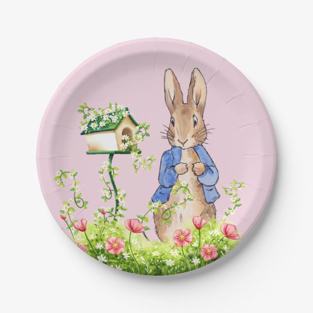 Classic bunny rabbit blue jacket paper plates (Front)