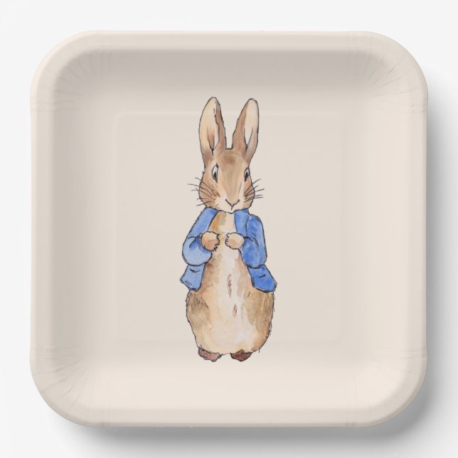 Classic bunny rabbit blue jacket paper plates (Front)