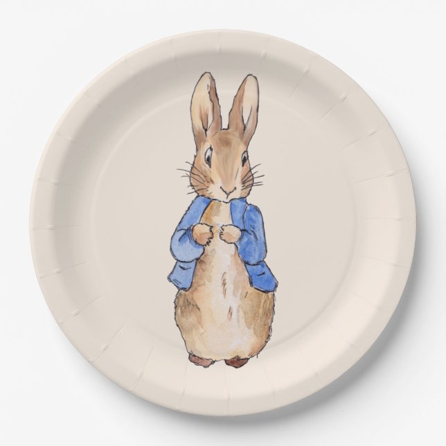 Classic bunny rabbit blue jacket paper plates (Front)