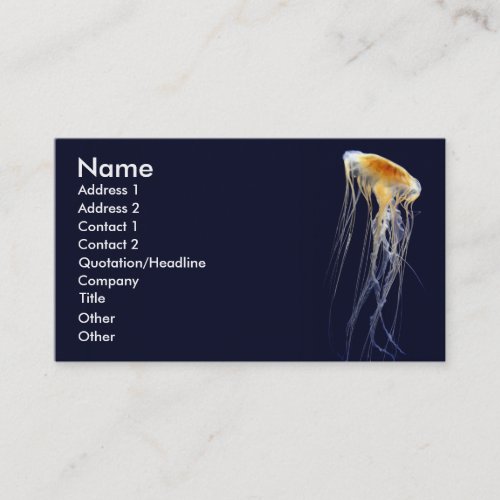 Classic Card - Drifting Lace Business Card