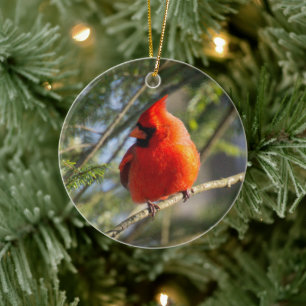 Classic Cardinal Portrait Ceramic Ornament