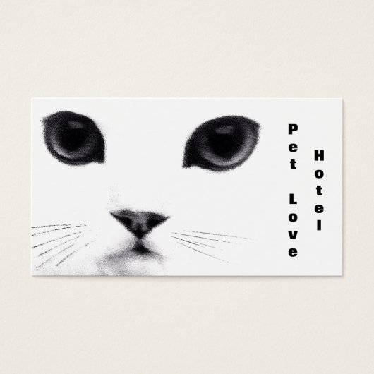 Classic Cat Features (Front)