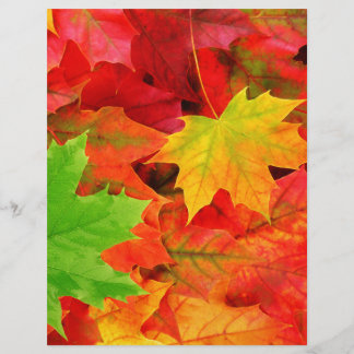 Classic Colored Autumn Fall Leaf Print