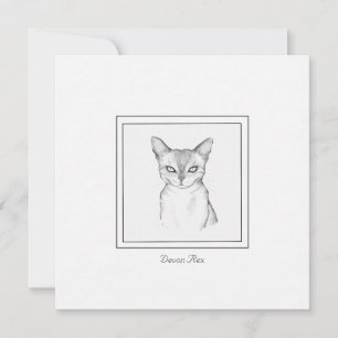 Classic Devon Rex Cat Chalk Drawing Note Card