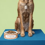 Classic Diamond Pattern Bowl<br><div class="desc">Pet Products featuring my illustration of a classic Diamond pattern</div>