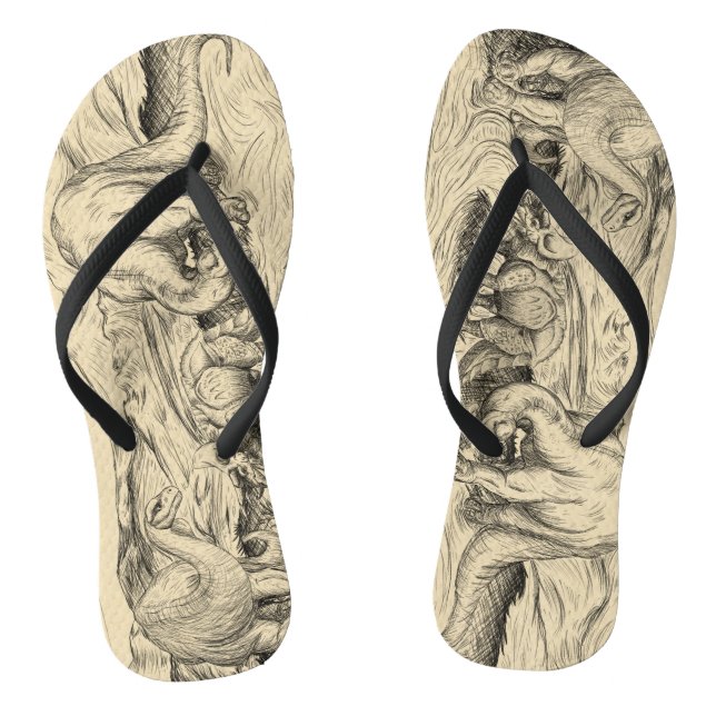 Classic Dinosaurs Flip Flops (Footbed)