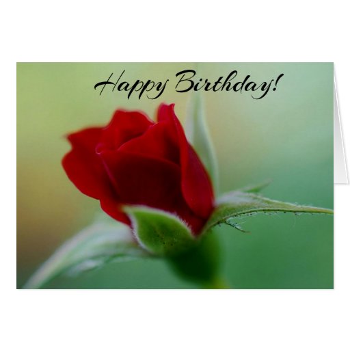 Classic Elegance Red Rose Birthday Card | Zazzle