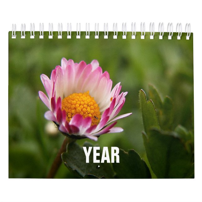 Classic, Familar Calendar (Cover)