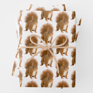 Classic Fluffy Red Squirrel Gift Wrap