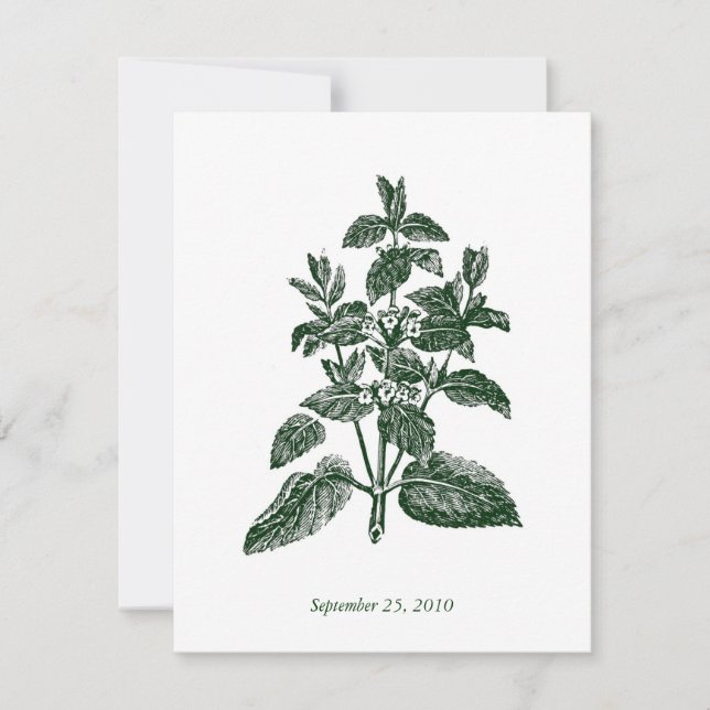 Classic Foliage Wedding Invitation (Front)