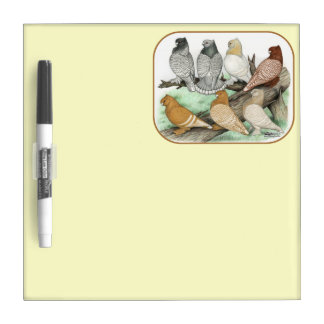 Classic Frill Pigeons Blondinettes Dry-Erase Board