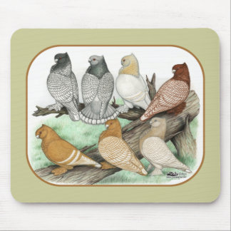 Classic Frill Pigeons Blondinettes Mouse Pad