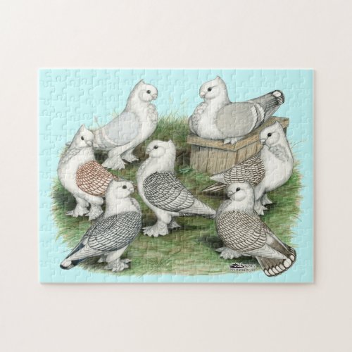 Classic Frill Pigeons Jigsaw Puzzle