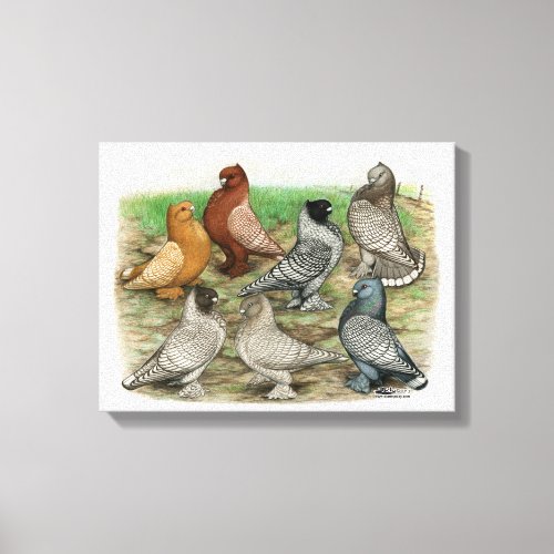 Classic Frill Pigeons Laced Blondinettes Canvas Print