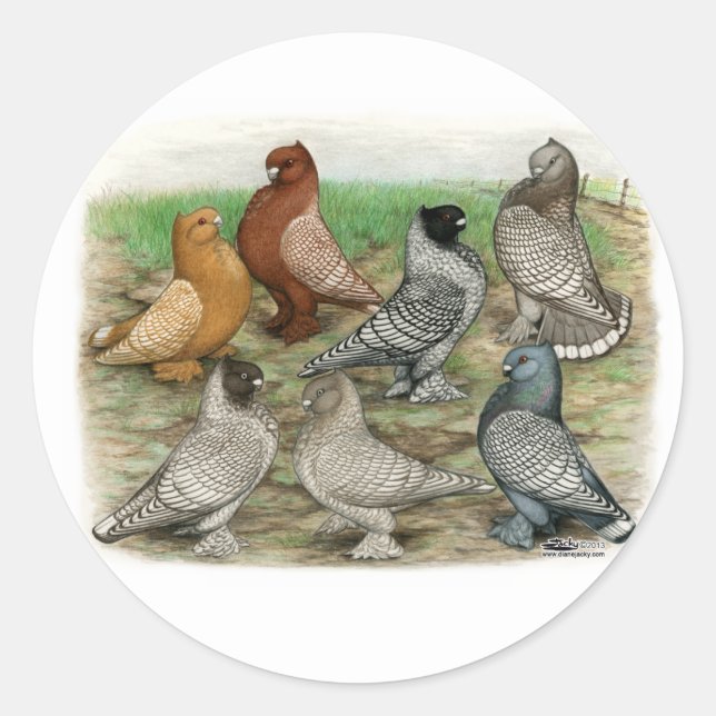 Classic Frill Pigeons Laced Blondinettes Round Sticker (Front)