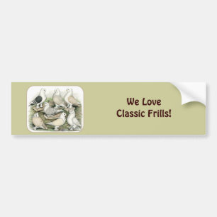Classic Frill Pigeons Satinettes Bumper Sticker