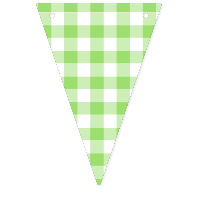 Classic Gingham Spring Green Bunting Flags (First Flag)